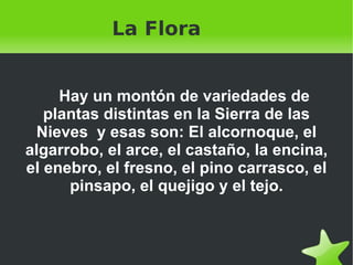 La Flora  Hay un montón de variedades de plantas distintas en la Sierra de las Nieves  y esas son: El alcornoque, el algarrobo, el arce, el castaño, la encina, el enebro, el fresno, el pino carrasco, el pinsapo, el quejigo y el tejo. 