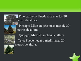 Pino carrasco: Puede alcanzar los 20  metros de altura. Pinsapo: Mide en ocasiones más de 30  metros de altura. Quejigo: Mide 20 metros de altura. Tejo: Puede llegar a medir hasta 20  metros de altura. 