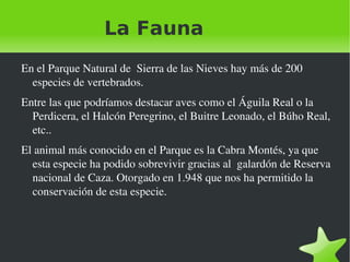 La Fauna En el Parque Natural de  Sierra de las Nieves hay más de 200 especies de vertebrados. Entre las que podríamos destacar aves como el Águila Real o la Perdicera, el Halcón Peregrino, el Buitre Leonado, el Búho Real, etc.. El animal más conocido en el Parque es la Cabra Montés, ya que esta especie ha podido sobrevivir gracias al  galardón de Reserva nacional de Caza. Otorgado en 1.948 que nos ha permitido la conservación de esta especie. 