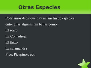 Otras Especies Podríamos decir que hay un sin fin de especies, entre ellas algunas tan bellas como : El zorro La Comadreja El Erizo La salamandra Pico, Picapinos, ect. 