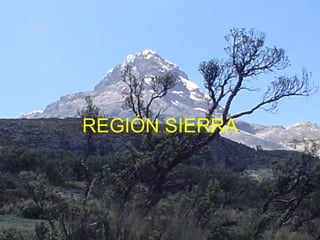 REGIÓN SIERRA 
