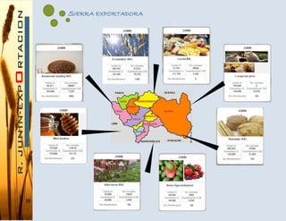10
SIERRA EXPORTADORA
 