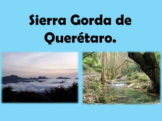 Sierra Gorda de
   Querétaro.
 