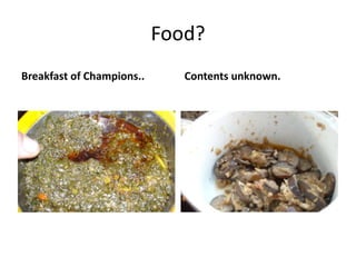 Food? Breakfast of Champions.. Contents unknown.