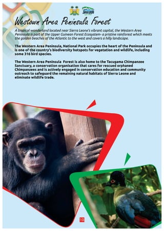 Sierra Leone Tourism