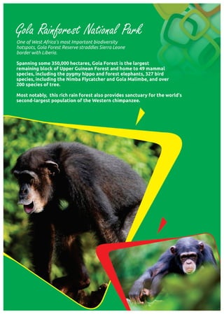 Sierra Leone Tourism