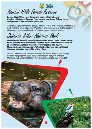 Sierra Leone Tourism