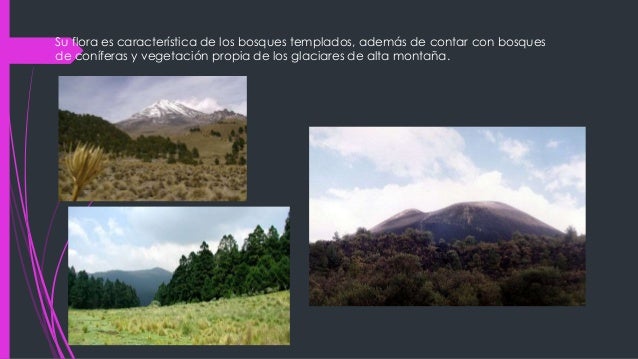 Sierra madre occidental