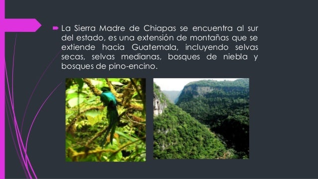 Sierra madre occidental