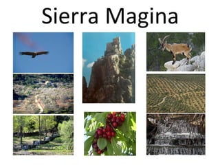 Sierra Magina
 