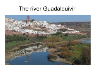 The river Guadalquivir
