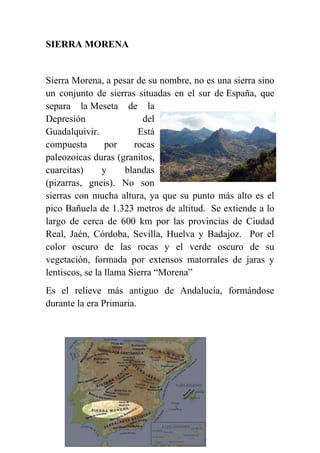 SIERRA MORENA
Sierra Morena, a pesar de su nombre, no es una sierra sino
un conjunto de sierras situadas en el sur de España, que
separa la Meseta de la
Depresión del
Guadalquivir. Está
compuesta por rocas
paleozoicas duras (granitos,
cuarcitas) y blandas
(pizarras, gneis). No son
sierras con mucha altura, ya que su punto más alto es el
pico Bañuela de 1.323 metros de altitud. Se extiende a lo
largo de cerca de 600 km por las provincias de Ciudad
Real, Jaén, Córdoba, Sevilla, Huelva y Badajoz. Por el
color oscuro de las rocas y el verde oscuro de su
vegetación, formada por extensos matorrales de jaras y
lentiscos, se la llama Sierra “Morena”
Es el relieve más antiguo de Andalucía, formándose
durante la era Primaria.
 