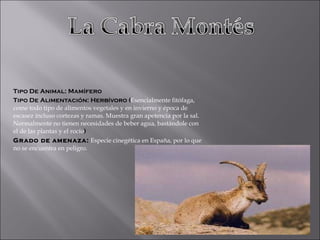 Tipo De Animal: Mamífero Tipo De Alimentación: Herbívoro ( Esencialmente fitófaga, come todo tipo de alimentos vegetales y en invierno y época de escasez incluso cortezas y ramas. Muestra gran apetencia por la sal. Normalmente no tienen necesidades de beber agua, bastándole con el de las plantas y el rocío ) Grado de amenaza:   Especie cinegética en España, por lo que no se encuentra en peligro. 