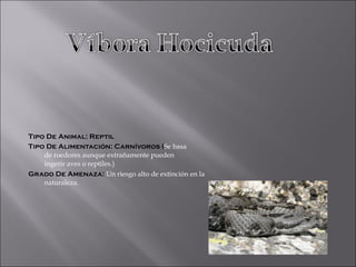 Tipo De Animal: Reptil Tipo De Alimentación: Carnívoros ( Se basa de roedores aunque extrañamente pueden ingerir aves o reptiles.) Grado De Amenaza:  Un riesgo alto de extinción en la naturaleza. 