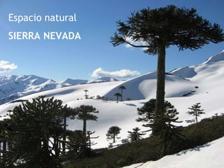 Espacio natural  SIERRA NEVADA 