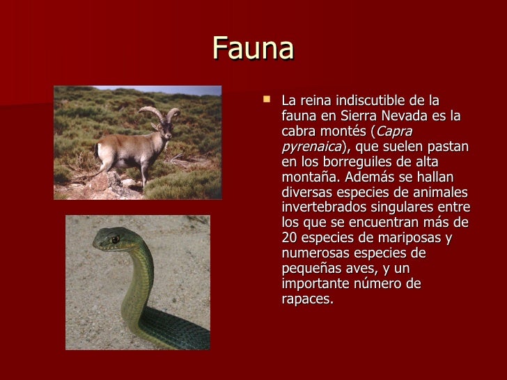 Sierra nevada - Parque nacional