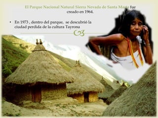 
El Parque Nacional Natural Sierra Nevada de Santa Marta fue
creado en 1964.
• En 1973 , dentro del parque, se descubrió la
ciudad perdida de la cultura Tayrona
 