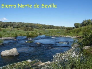 Sierra Norte de Sevilla 