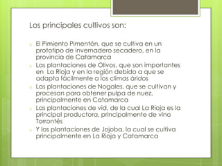 Los principales cultivos son:
o

o

o

o

o

El Pimiento Pimentón, que se cultiva en un
prototipo de invernadero secadero, en la
provincia de Catamarca
Las plantaciones de Olivos, que son importantes
en La Rioja y en la región debido a que se
adapta fácilmente a los climas áridos
Las plantaciones de Nogales, que se cultivan y
procesan para obtener pulpa de nuez,
principalmente en Catamarca
Las plantaciones de vid, de la cual La Rioja es la
principal productora, principalmente de vino
Torrontés
Y las plantaciones de Jojoba, la cual se cultiva
principalmente en La Rioja y Catamarca

 