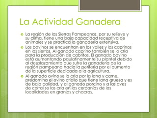 La Actividad Ganadera






La región de las Sierras Pampeanas, por su relieve y
su clima, tiene una baja capacidad receptiva de
animales y se practica la ganadería extensiva.
Los bovinos se encuentran en los valles y los caprinos
en las sierras. Al ganado caprino también se lo cría
para la producción de cabritos. El ganado bovino
está aumentando paulatinamente su plantel debido
al desplazamiento que sufre la ganadería de la
región pampeana hacia la periferia por el aumento
de la superficie dedicada a la agricultura.
Al ganado ovino se lo cría por la lana y carne,
predomina el ovino criollo que tiene lana gruesa y es
de baja calidad, y al ganado porcino y a las aves
de corral se las cría en las cercanías de las
localidades en granjas y chacras.

 