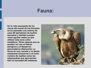 Localización: La Sierra de Castril se encuentra en la Cordillera Subbética lindando con el Parque Natural de la Sierra de Cazorla, Segura y Las Villas al oeste y norte y con la Sierra de la Sagra al este. 