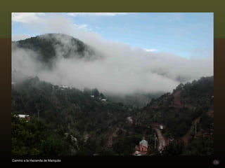 Camino a la Hacienda de Mariquita 
