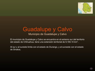 Guadalupe y Calvo Municipio de Guadalupe y Calvo El municipio de Guadalupe y Calvo se encuentra en el extremo sur del territorio del estado de Chihuahua, tiene una extensión territorial de 9,165.10 km 2  .  Al sur y al sureste limita con el estado de Durango, y al suroeste con el estado de Sinaloa,  
