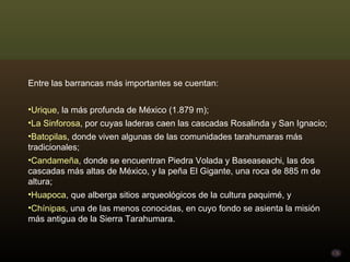 Entre las barrancas más importantes se cuentan:  Urique , la más profunda de México (1.879 m);  La Sinforosa , por cuyas laderas caen las cascadas Rosalinda y San Ignacio;  Batopilas , donde viven algunas de las comunidades tarahumaras más tradicionales;  Candameña , donde se encuentran Piedra Volada y Baseaseachi, las dos cascadas más altas de México, y la peña El Gigante, una roca de 885 m de altura;  Huapoca , que alberga sitios arqueológicos de la cultura paquimé, y  Chínipas , una de las menos conocidas, en cuyo fondo se asienta la misión más antigua de la Sierra Tarahumara. 