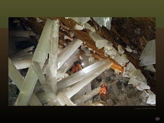 Imagen extraída de la red 