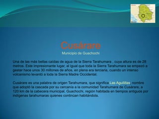 Cusárare
                              Municipio de Guachochi

Una de las más bellas caídas de agua de la Sierra Tarahumara , cuya altura es de 28
metros. Este impresionante lugar, al igual que toda la Sierra Tarahumara se empezó a
gestar hace unos 30 millones de años, en plena era terciaria, cuando un intenso
volcanismo levantó a toda la Sierra Madre Occidental.

Cusárare es una palabra de origen Tarahumara, que significa Las Aguilillas, nombre
que adoptó la cascada por su cercanía a la comunidad Tarahumara de Cusárare, a
120 km de la cabecera municipal, Guachochi, región habitada en tiempos antiguos por
indígenas tarahumaras quienes continúan habitándola.
 