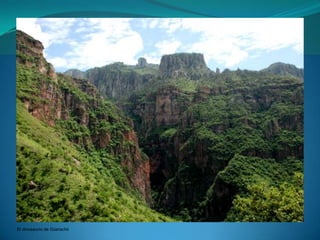 El dinosaurio de Güerachii
 