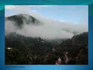 Camino a la Hacienda de Mariquita
 