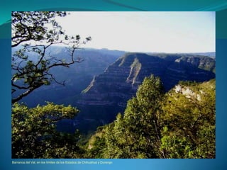 Barranca del Val, en los límites de los Estados de Chihuahua y Durango
 