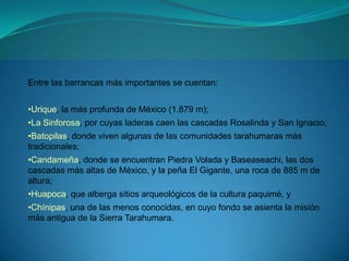 Entre las barrancas más importantes se cuentan:


•Urique, la más profunda de México (1.879 m);
•La Sinforosa, por cuyas laderas caen las cascadas Rosalinda y San Ignacio;
•Batopilas, donde viven algunas de las comunidades tarahumaras más
tradicionales;
•Candameña, donde se encuentran Piedra Volada y Baseaseachi, las dos
cascadas más altas de México, y la peña El Gigante, una roca de 885 m de
altura;
•Huapoca, que alberga sitios arqueológicos de la cultura paquimé, y
•Chínipas, una de las menos conocidas, en cuyo fondo se asienta la misión
más antigua de la Sierra Tarahumara.
 