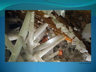 Imagen extraída de la red
 