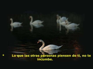   *       Lo que las otras personas piensen de ti, no te incumbe.  