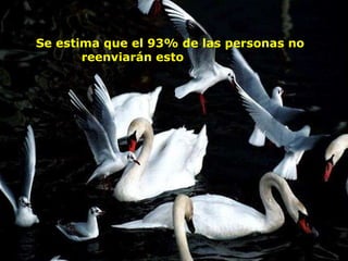 Se estima que el 93% de las personas no reenviarán esto                     