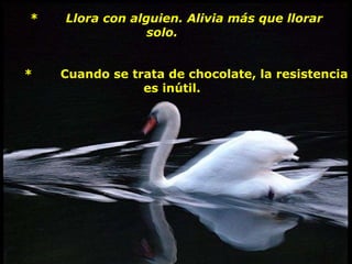 *       Llora con alguien. Alivia más que llorar solo.         *       Cuando se trata de chocolate, la resistencia  es inútil.    