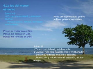 4.La ley del menor esfuerzo Salmo 4:8  8 En paz me acostaré, y asimismo dormiré;      Porque solo tú, Jehová, me haces vivir confiado.  Pongo mi confianza en Dios. Pongo mis cargas en Dios. Pongo mis  fuerzas en Dios. Salmo 18 1 Te amo, oh Jehová, fortaleza mía.       2 Jehová, roca mía y castillo mío, y mi libertador;      Dios mío, fortaleza mía, en él confiaré;      Mi escudo, y la fuerza de mi salvación, mi alto refugio.  No te desesperes más ,yo soy tu Dios, yo no te voy a dejar. 