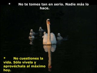 *       No te tomes tan en serio. Nadie más lo hace.        *       No cuestiones la vida. Sólo vívela y aprovéchala al máximo hoy.                             