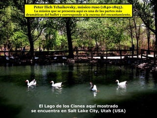 El Lago de los Cisnes aquí mostrado se encuentra en Salt Lake City, Utah (USA) Peter Ilich Tchaikovsky, músico ruso (1840-1893). La música que se presenta aquí es una de las partes más  dramáticas del ballet y corresponde a la escena del encantamiento. 