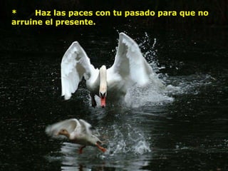 *       Haz las paces con tu pasado para que no arruine el presente.         