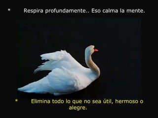 *       Respira profundamente.. Eso calma la mente.              *       Elimina todo lo que no sea útil, hermoso o alegre.  