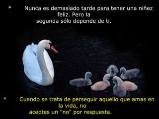   *       Nunca es demasiado tarde para tener una niñez feliz. Pero la        segunda sólo depende de ti.           *       Cuando se trata de perseguir aquello que amas en la vida, no        aceptes un "no" por respuesta.           