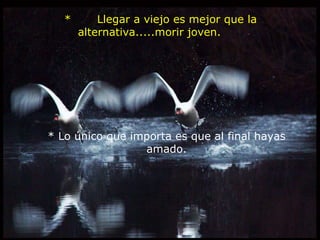   *       Llegar a viejo es mejor que la alternativa.....morir joven.       * Lo único que importa es que al final hayas amado. 
