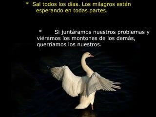        *  Sal todos los días. Los milagros están esperando en todas partes.    *       Si juntáramos nuestros problemas y viéramos los montones de los demás, querríamos los nuestros.   