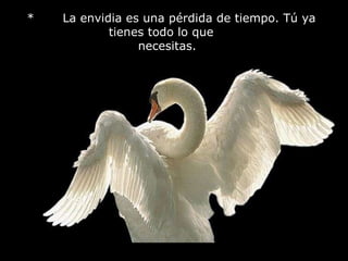 *       La envidia es una pérdida de tiempo. Tú ya tienes todo lo que       necesitas.    