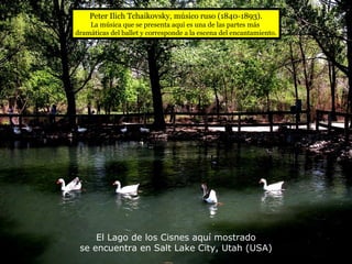 El Lago de los Cisnes aquí mostrado se encuentra en Salt Lake City, Utah (USA) Peter Ilich Tchaikovsky, músico ruso (1840-1893). La música que se presenta aquí es una de las partes más  dramáticas del ballet y corresponde a la escena del encantamiento. 