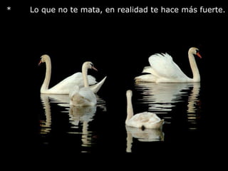 *       Lo que no te mata, en realidad te hace más fuerte.     