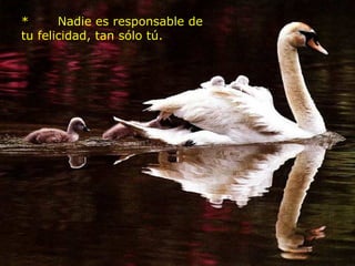 *       Nadie es responsable de tu felicidad, tan sólo tú.    
